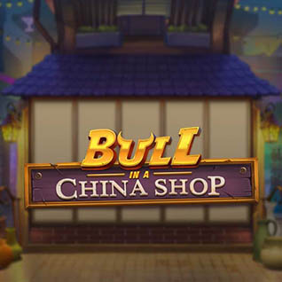 Bull China Shop