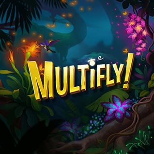 Multifly